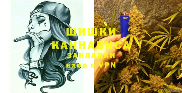 сатива Армянск