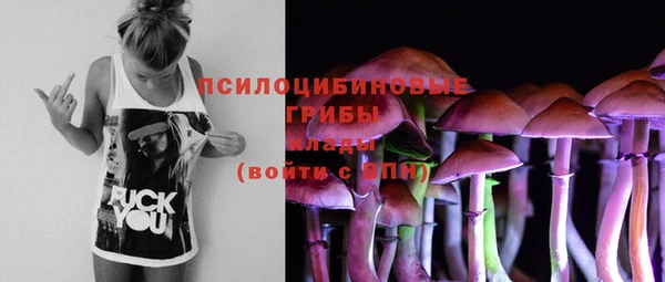 марки lsd Краснотурьинск
