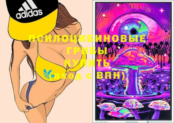 мяу мяу мука Семилуки