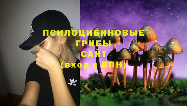 СК Аркадак