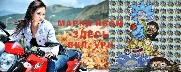 СК Аркадак