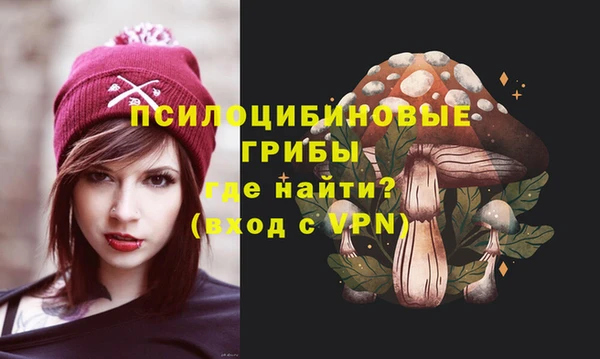 сатива Армянск