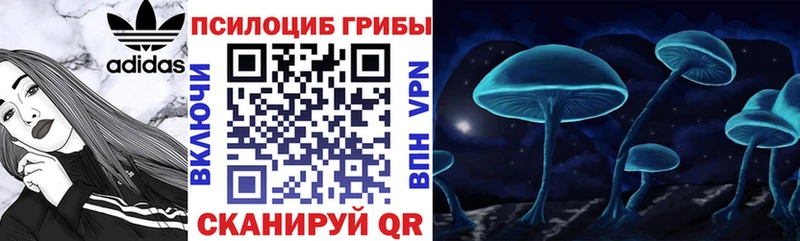 Галлюциногенные грибы GOLDEN TEACHER  даркнет сайт  Бокситогорск 